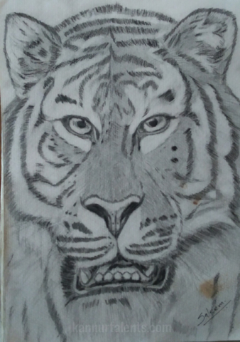 tiger