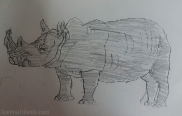 Rishith Rhino