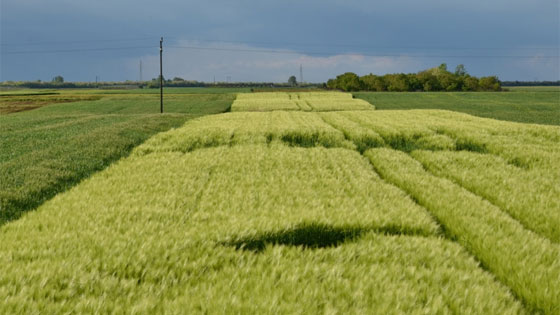 Farming