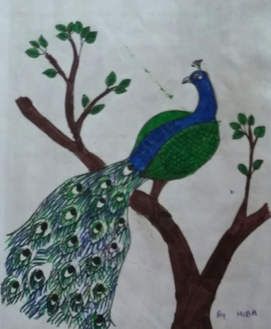 fathimathul hiba drawing